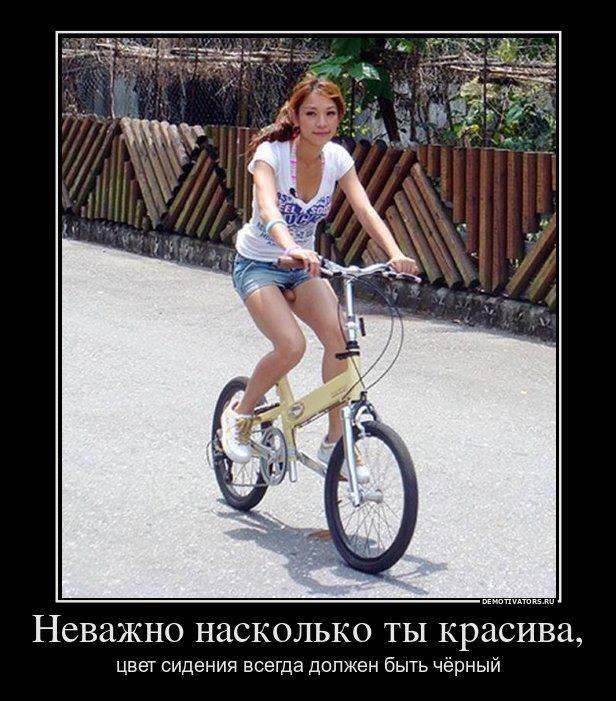 http://poehali.net/attach/419632_380959888588058_100000221511617_1683715_1982737575_n.jpg