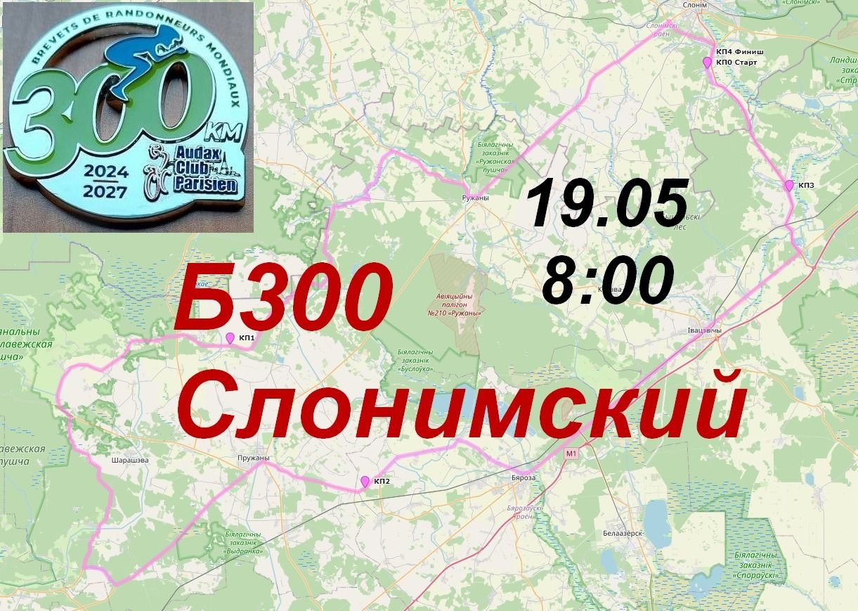 Б300 Слонимский