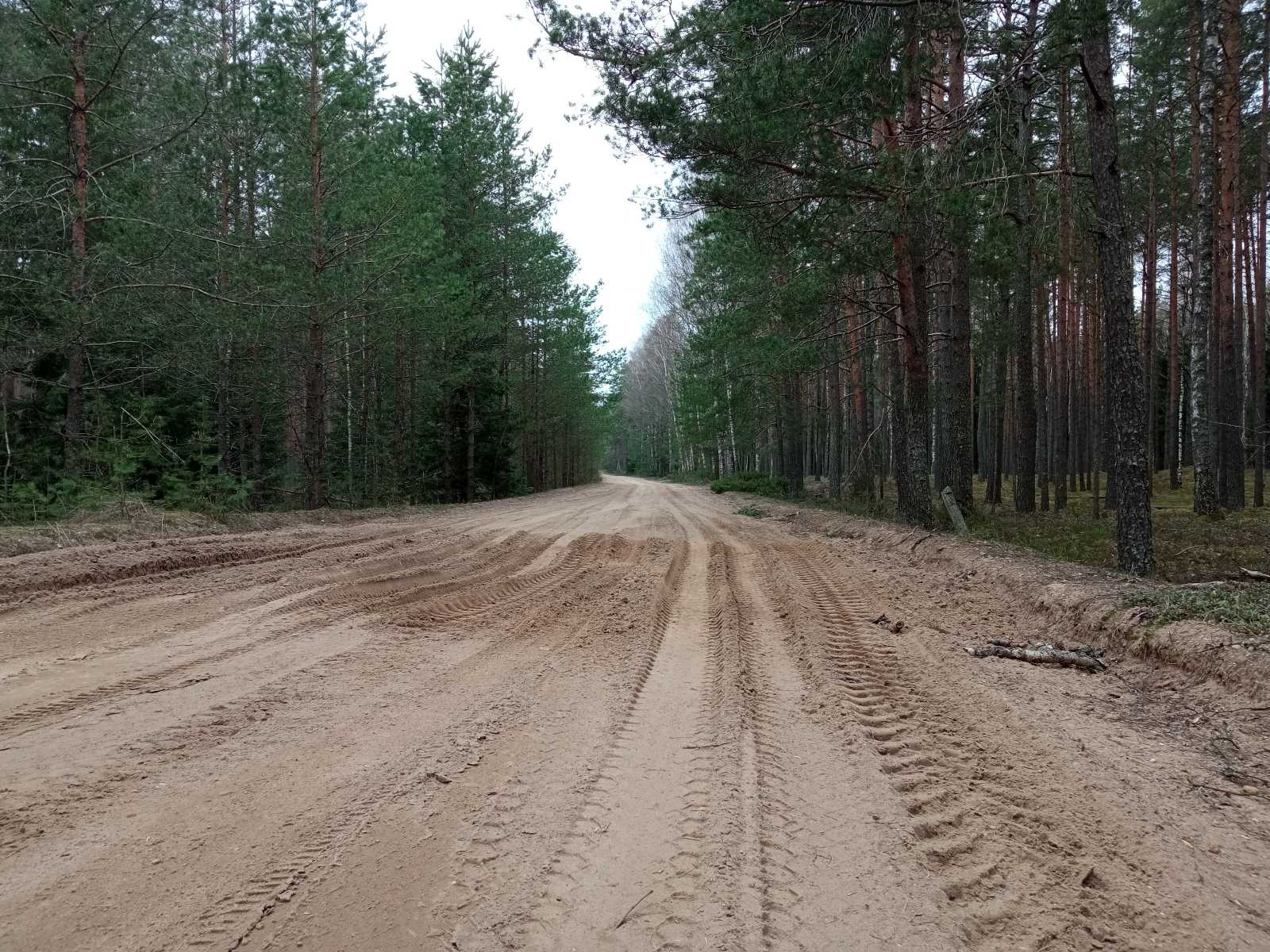 Бревет 200км (Гравийный) - Белые дороги 27.04.2025 (воскресение), 8:00