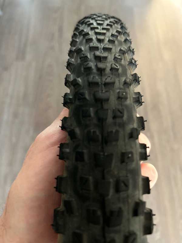 Maxxis Forekaster+Recon Race