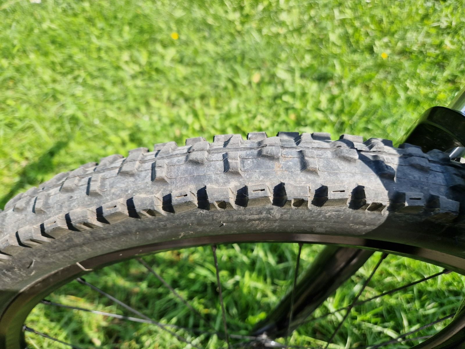 Cannondale Trail SL 2 26