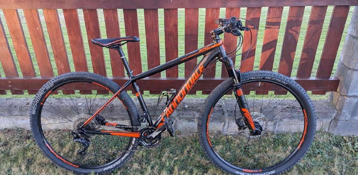 Cannondale m 29 Reba rl xt