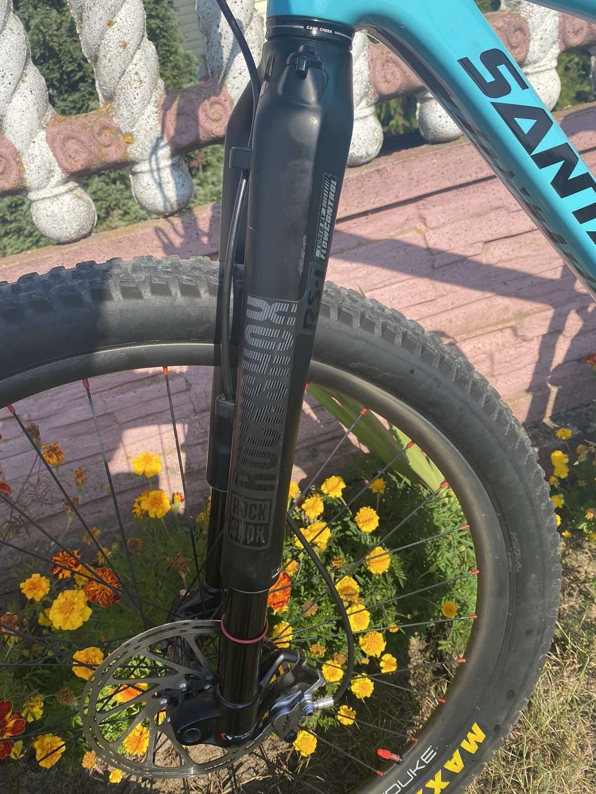 Santa Cruz Highball C