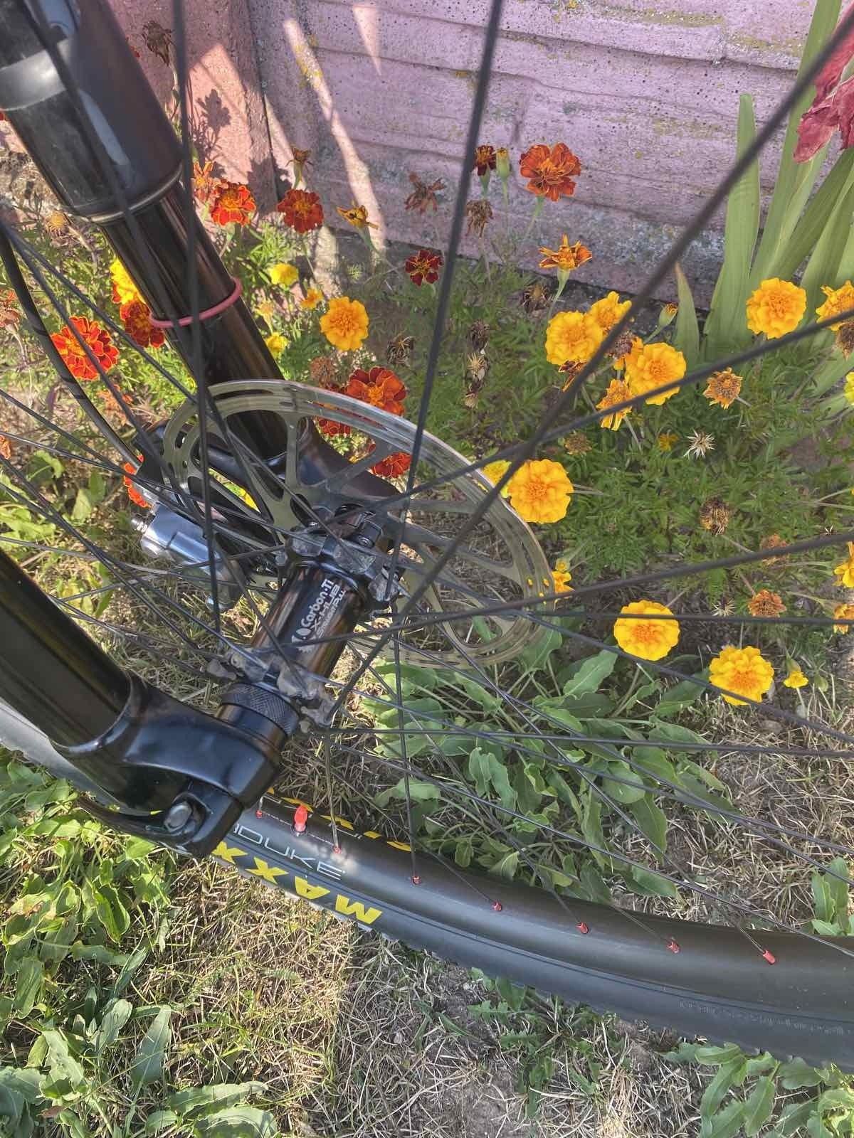 Santa Cruz Highball C