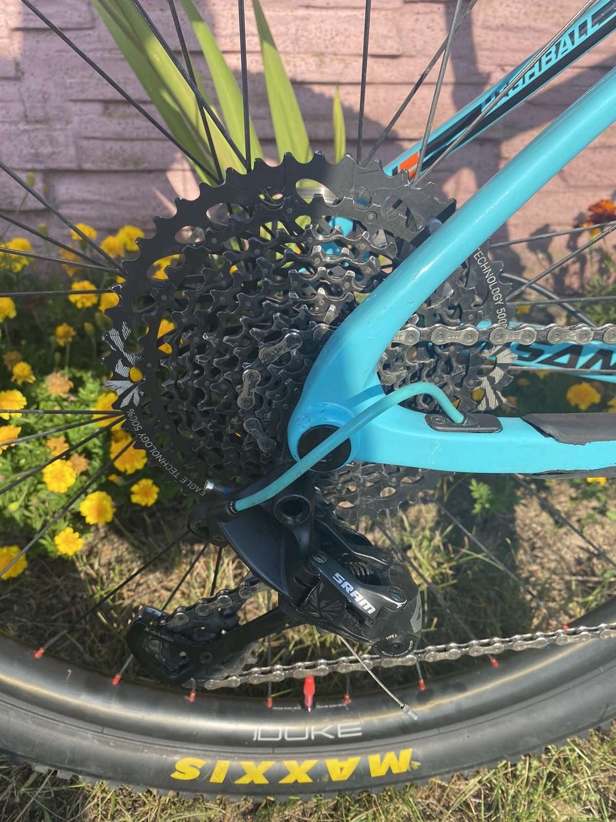 Santa Cruz Highball C