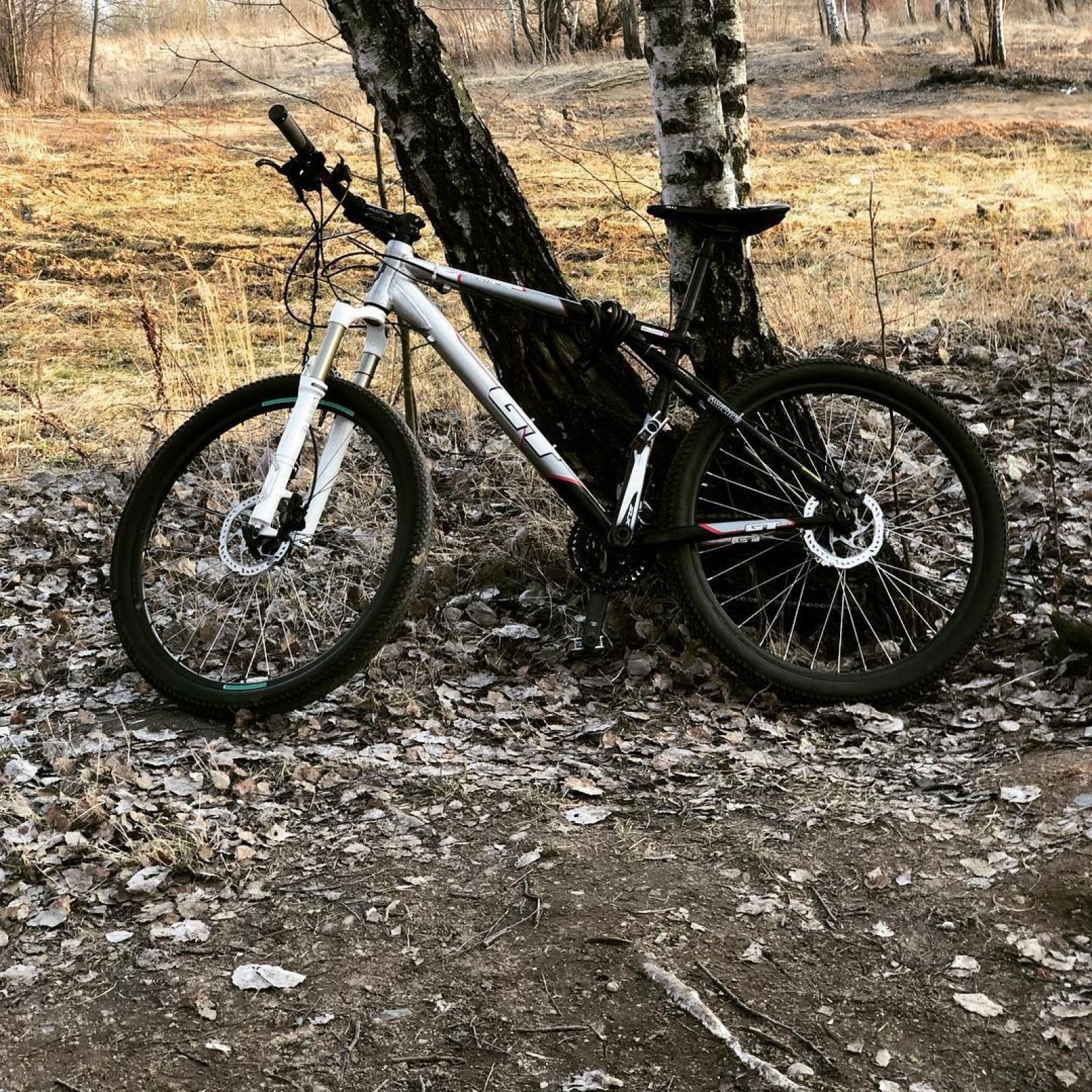 GT Avalanche 1.0