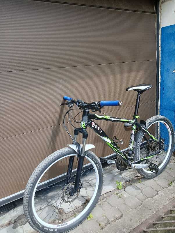 mongoose