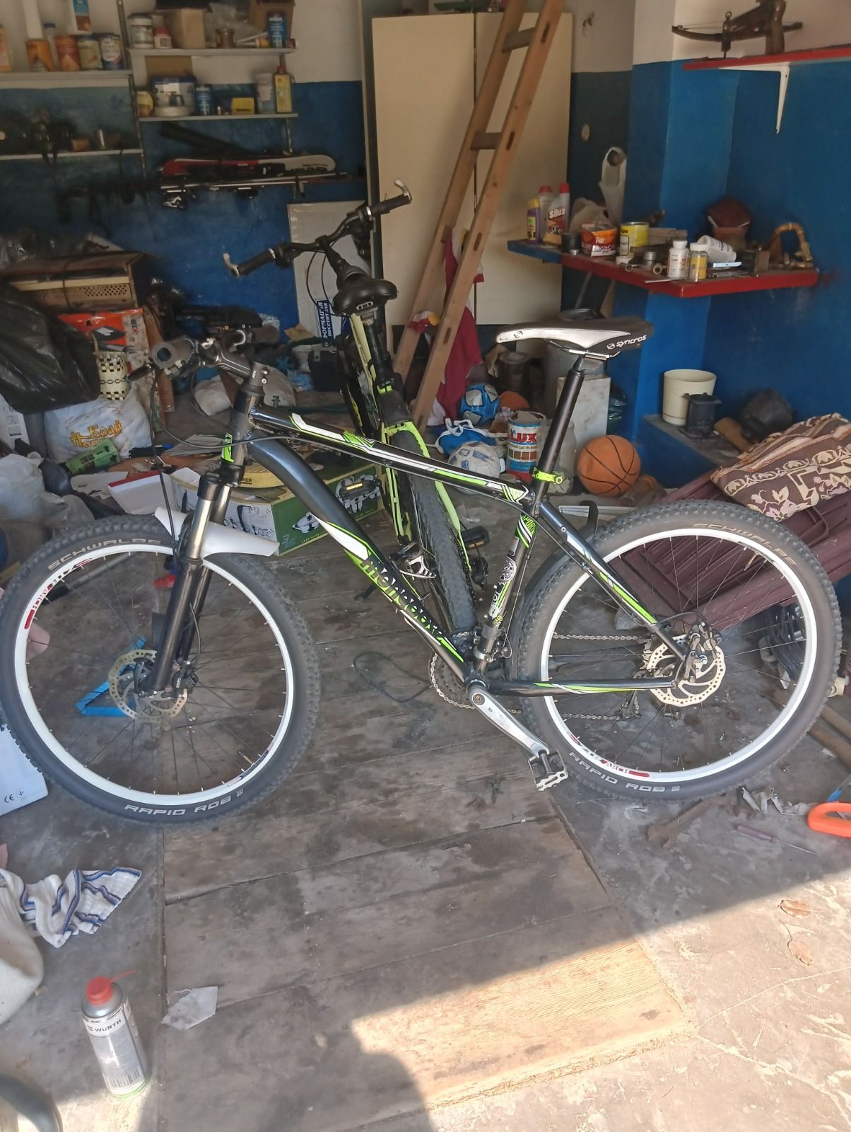 Mongoose 26
