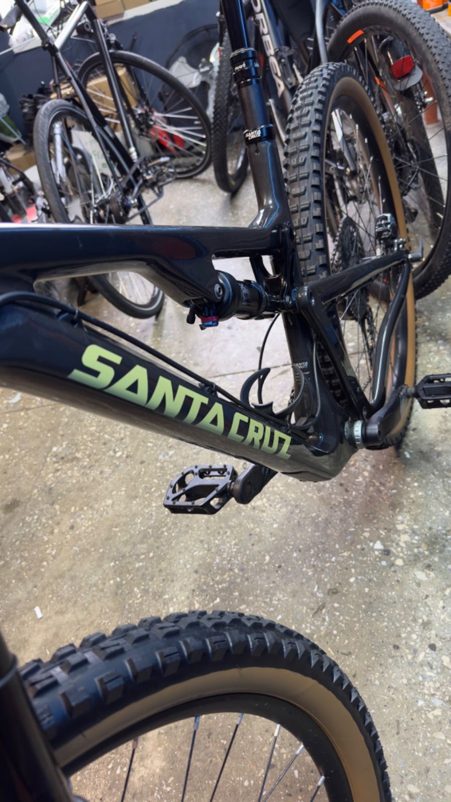 Santa Cruz C