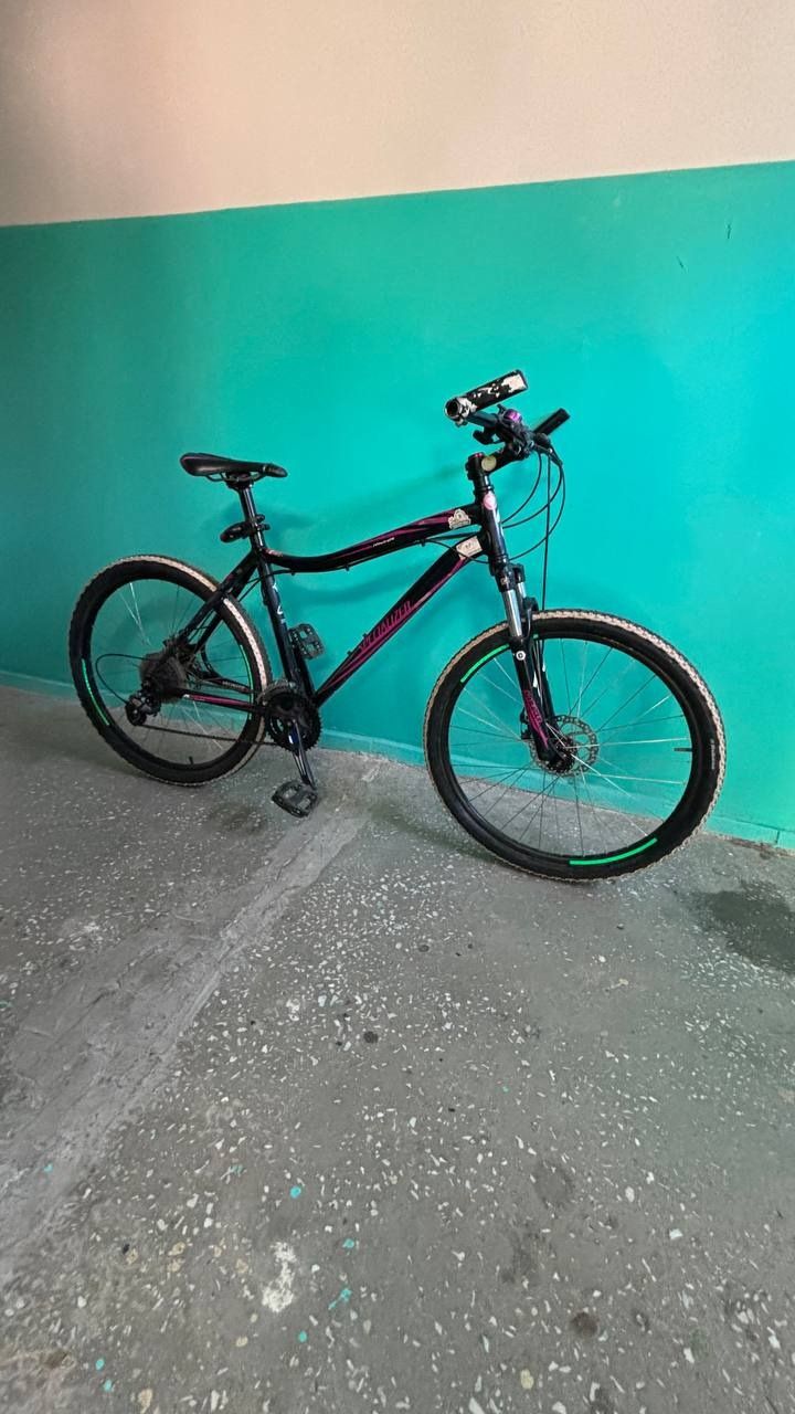 . Specialized Myka 26 (2015).