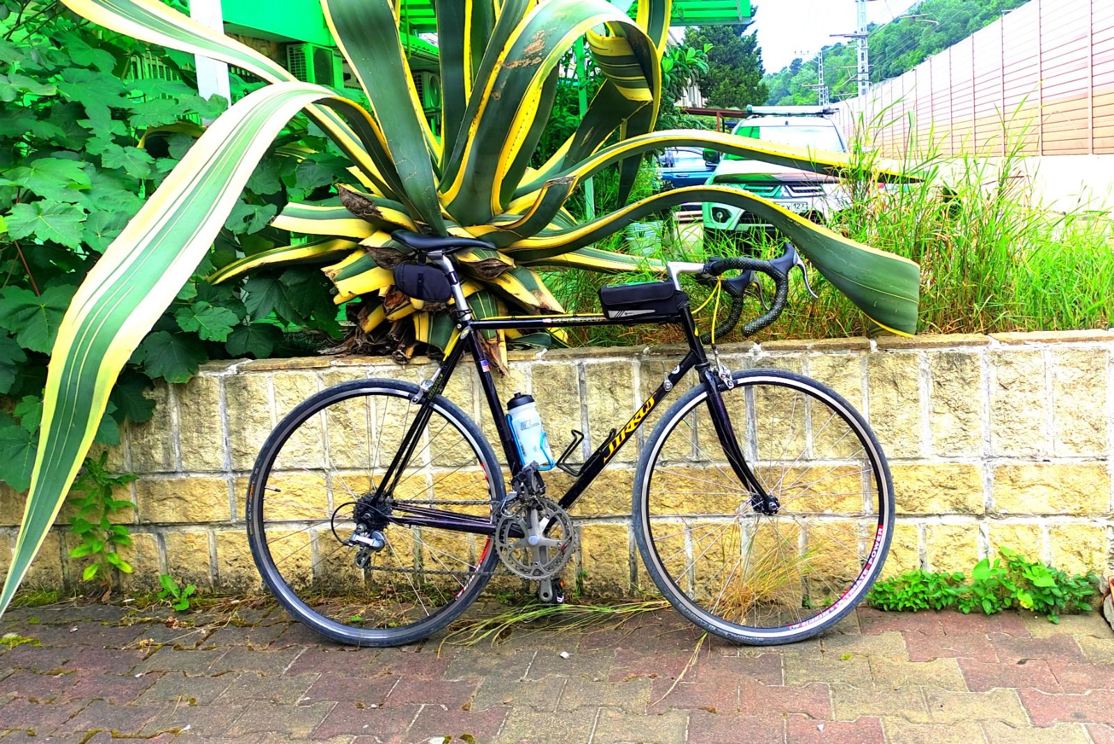 Specialized Sirrus (Made in USA)