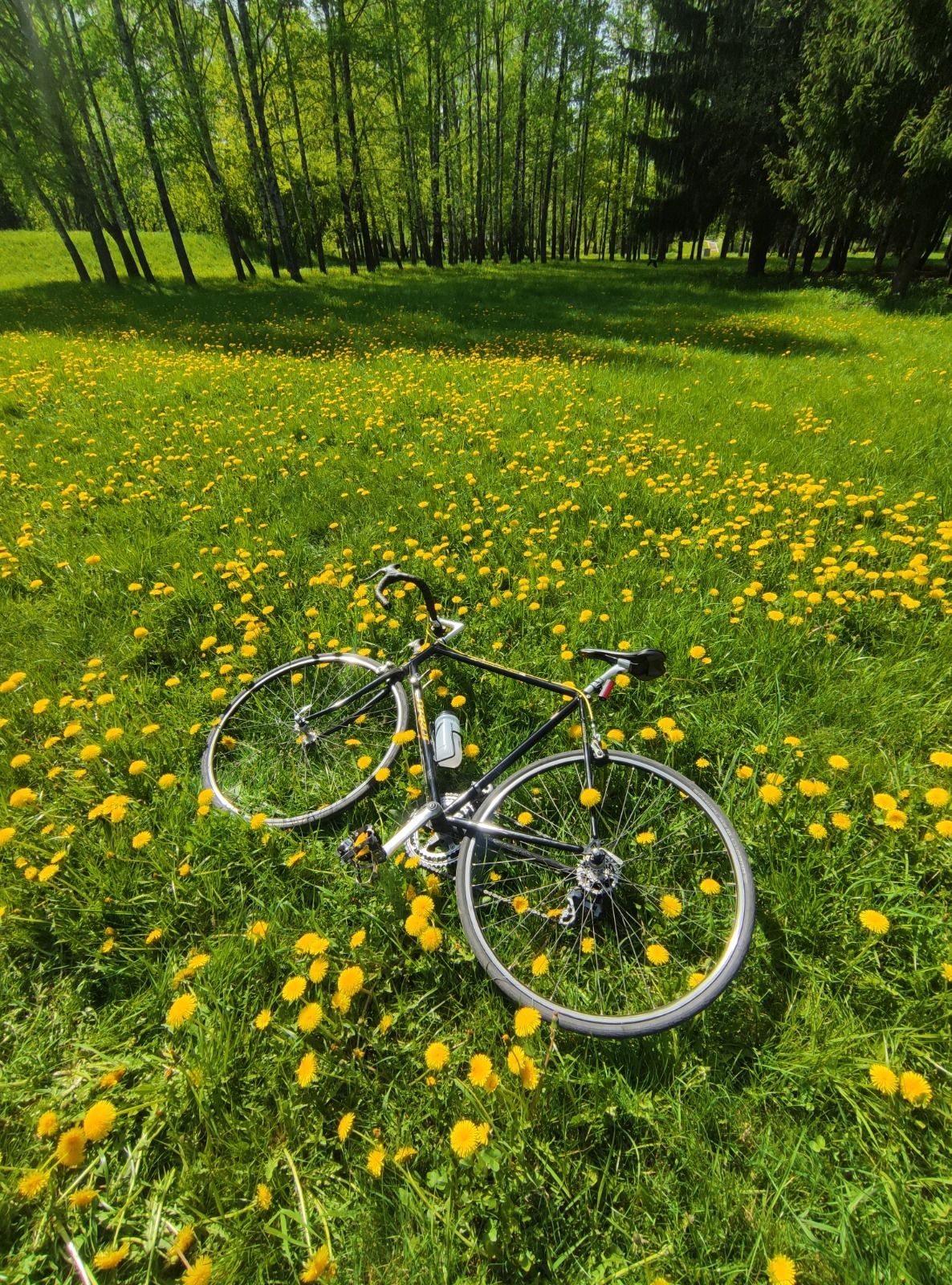 Specialized Sirrus (Made in USA)