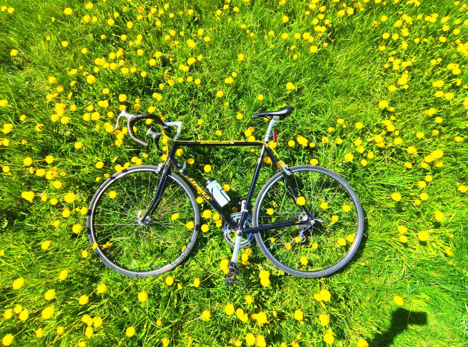 Specialized Sirrus (Made in USA)