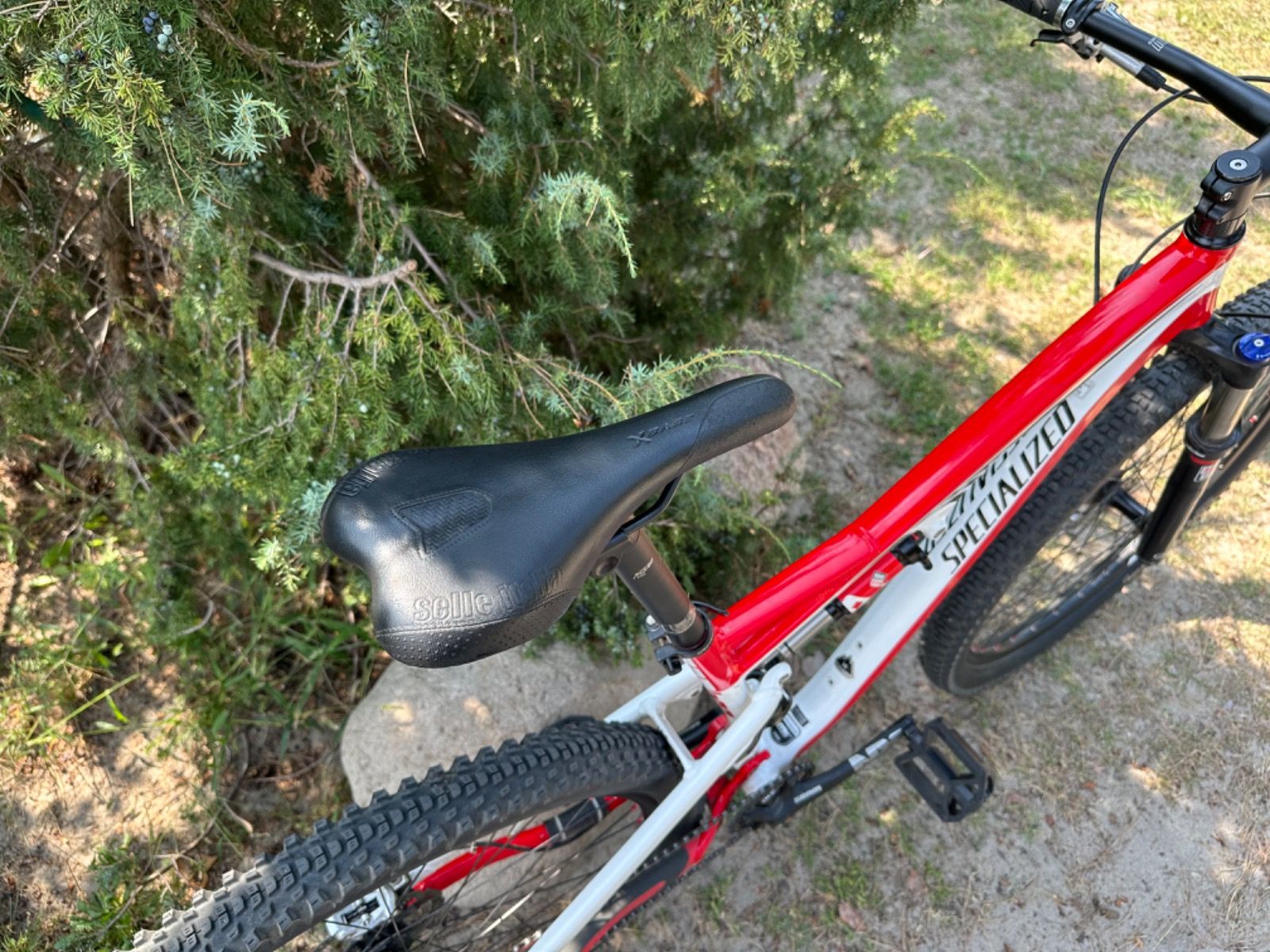 Specialized camber 29