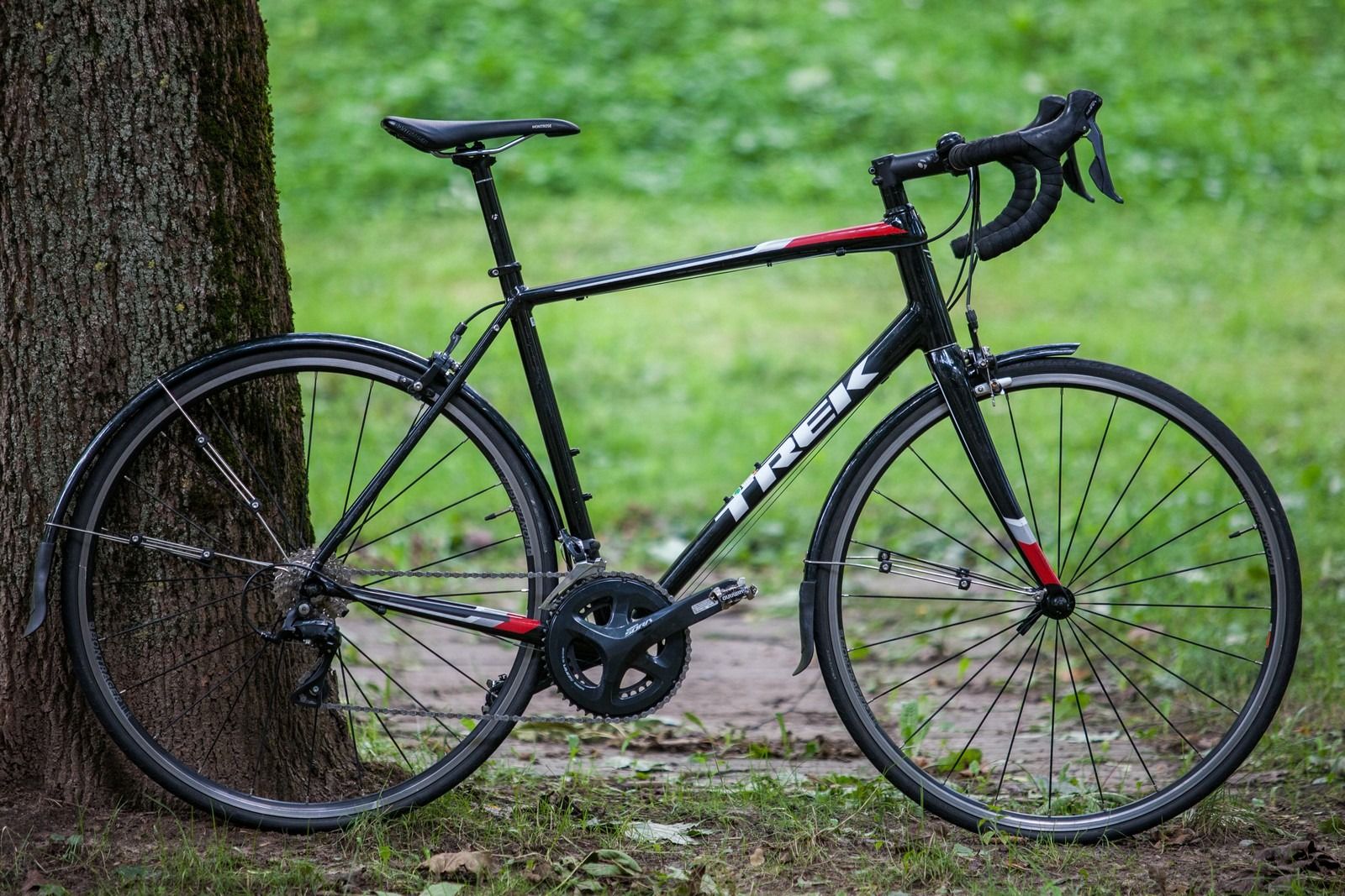 Trek Domane AL 3