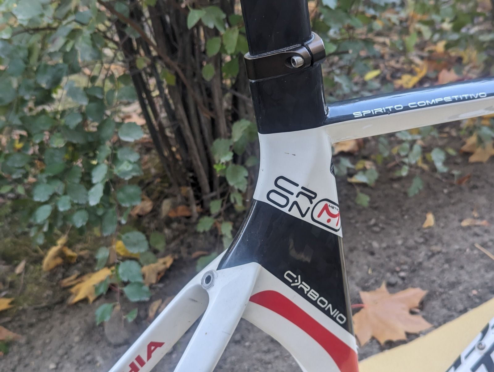 Рама для разделки Bottecchia Cronometro 54cm