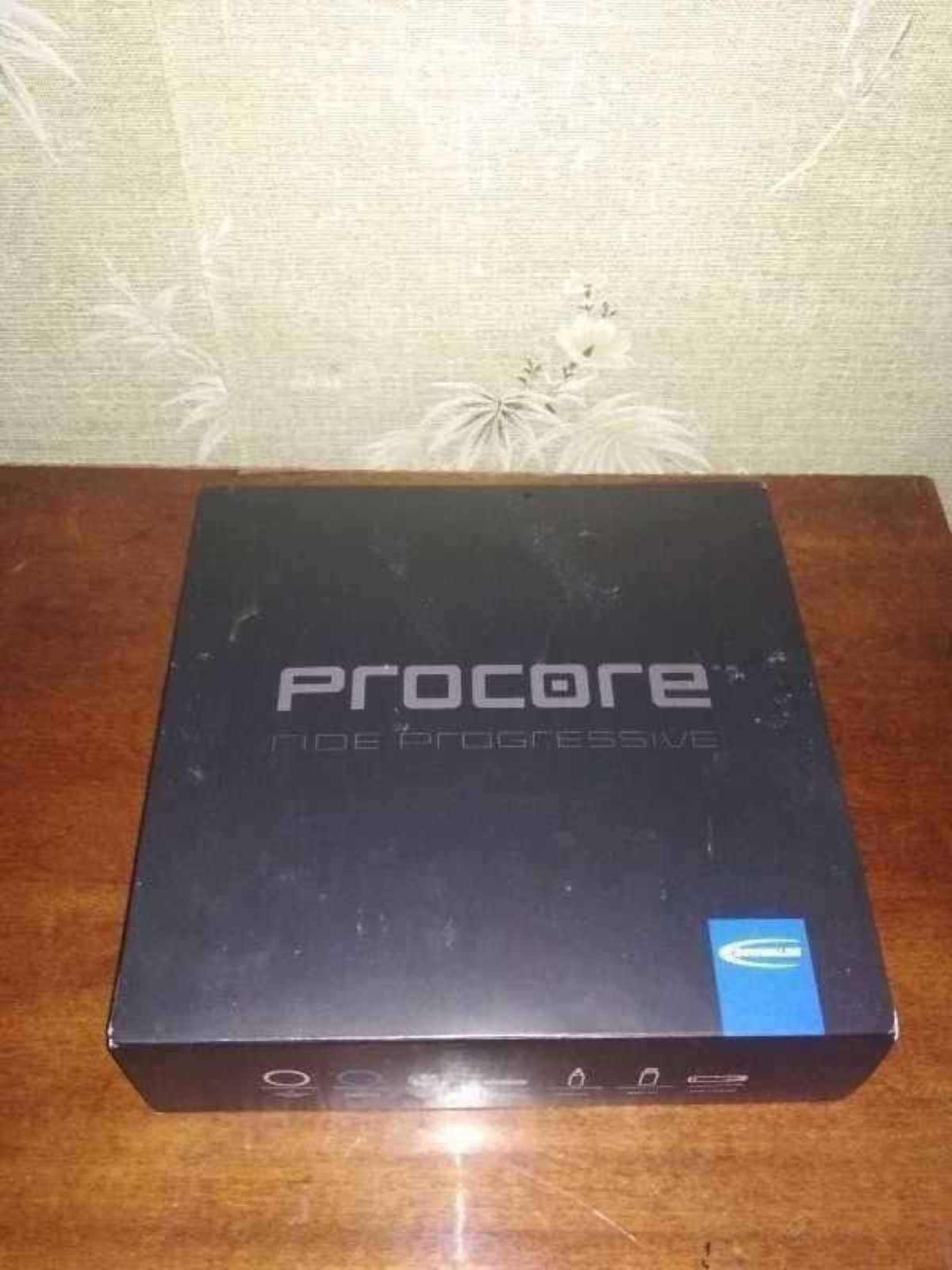 Schwalbe PROCORE 29