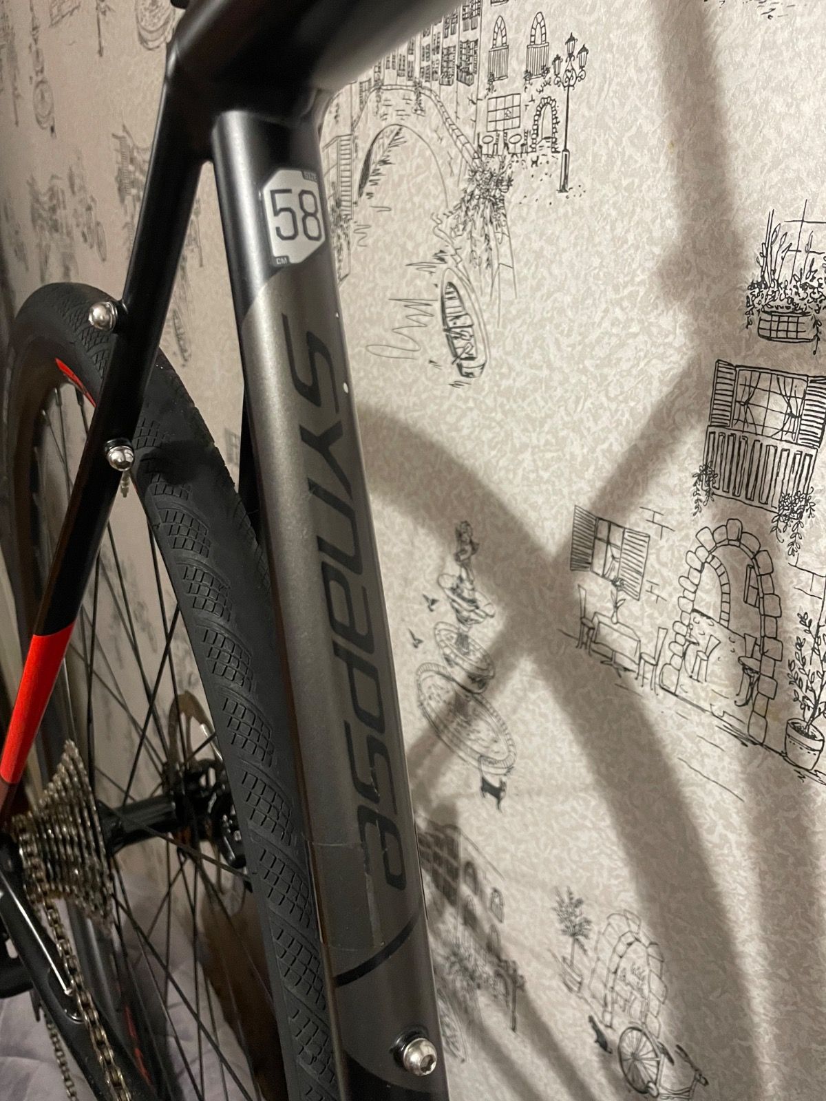 Cannondale synapse