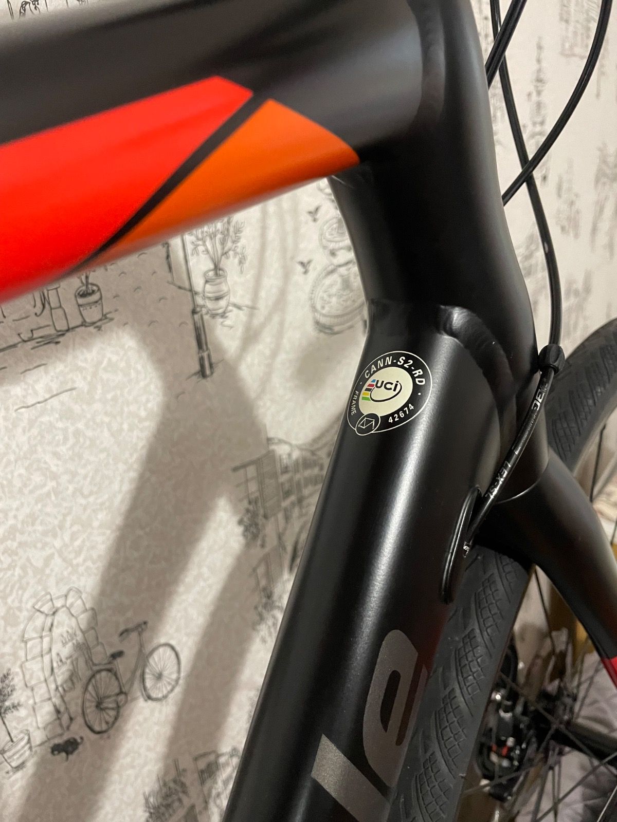 Cannondale synapse