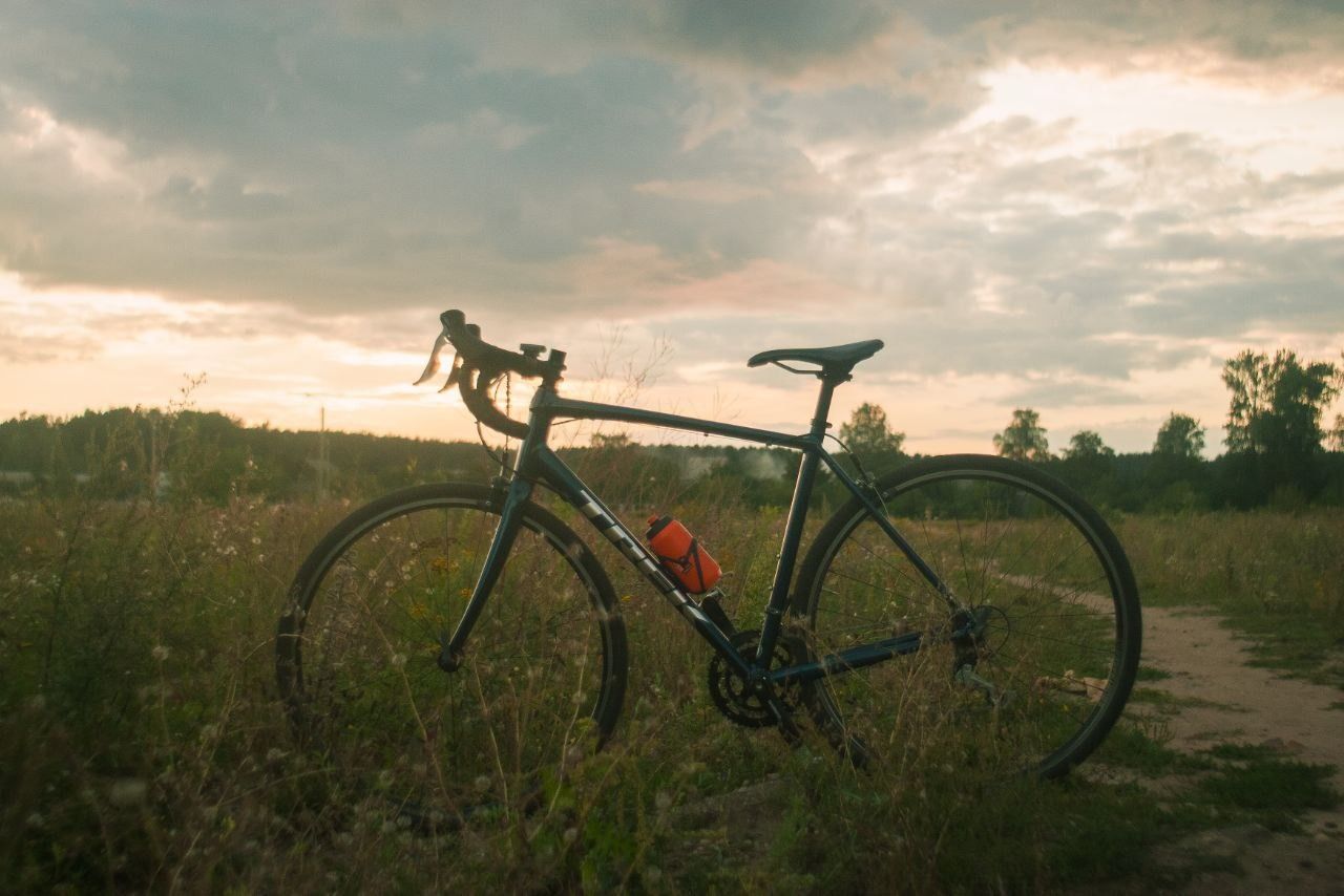 Trek Domane 2