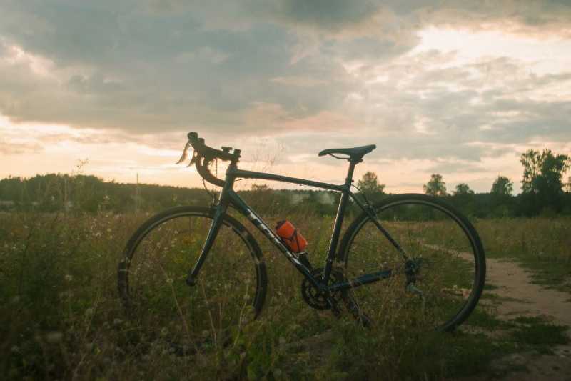 Trek Domane 2