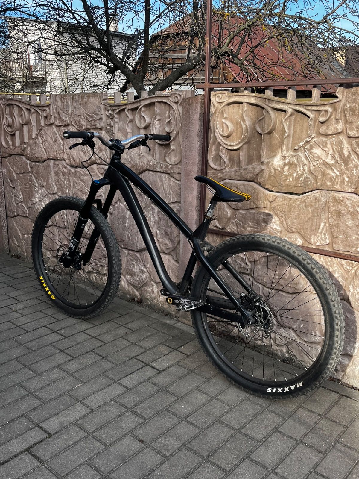 Dartmoor hornet 2020
