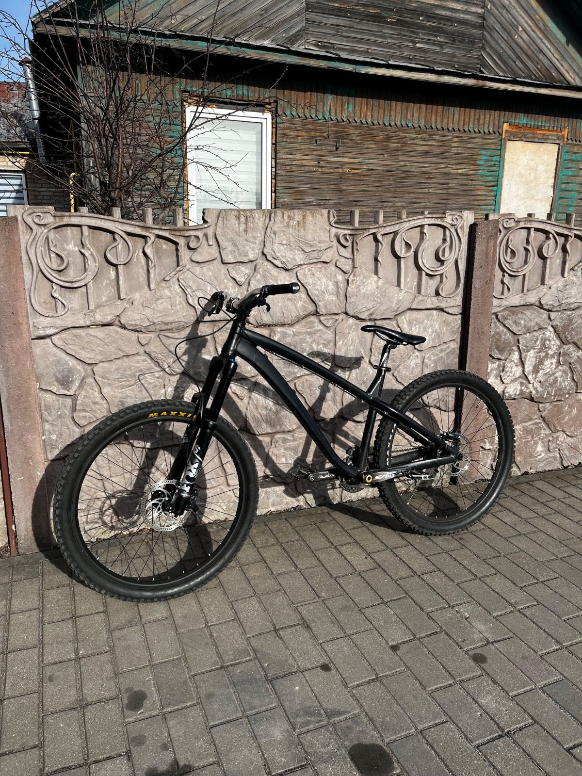 Dartmoor hornet 2020