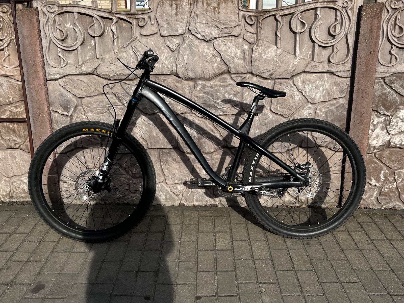 Dartmoor hornet 2020