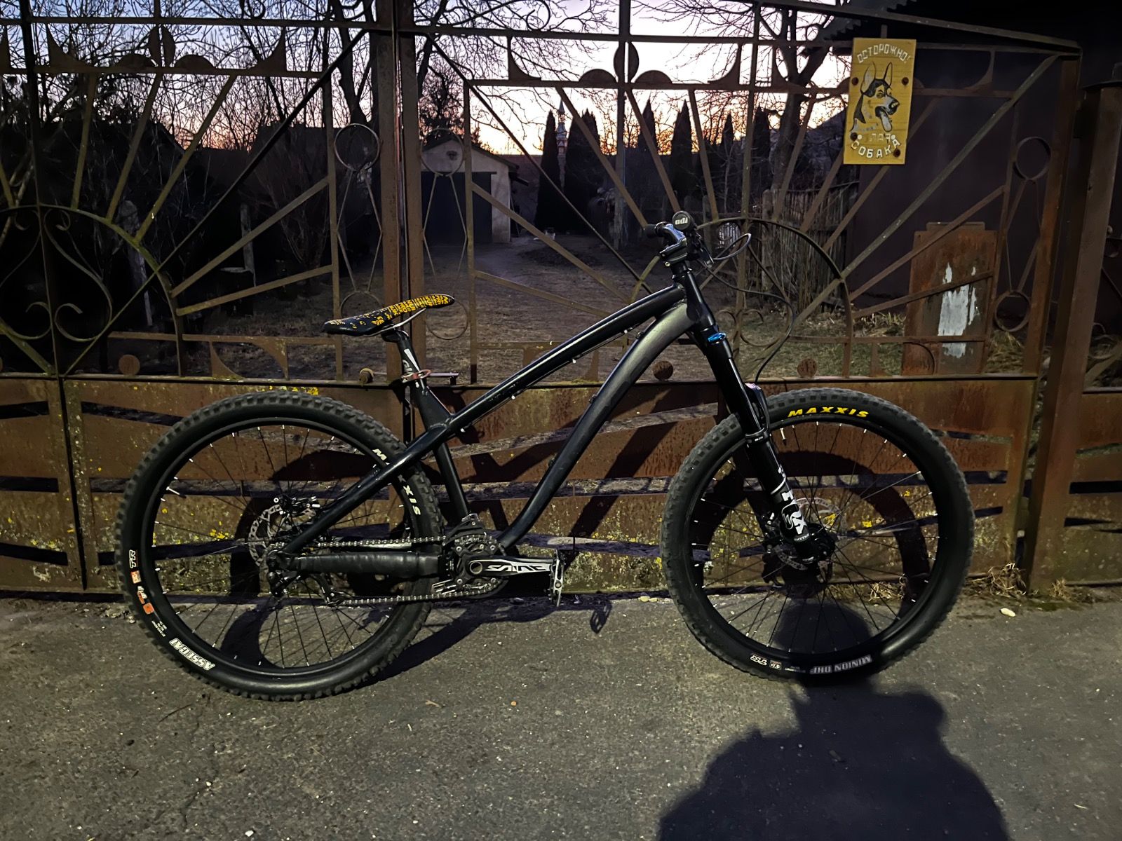 Dartmoor hornet 2020