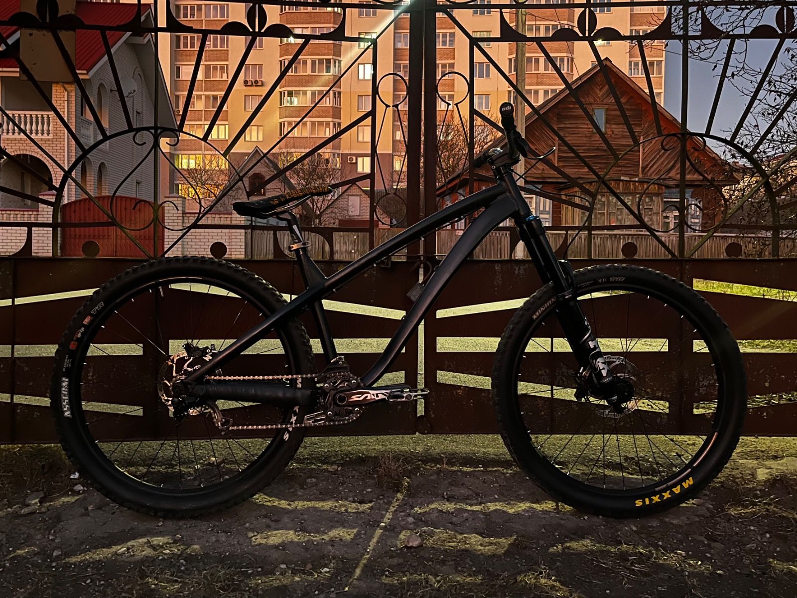 Dartmoor hornet 2020