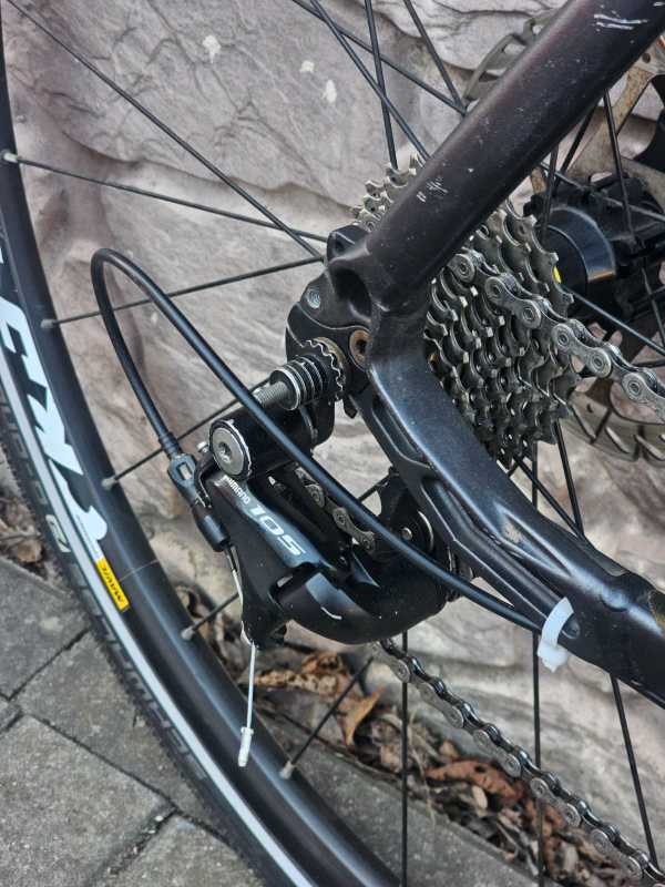 Rose PRO DX Cross