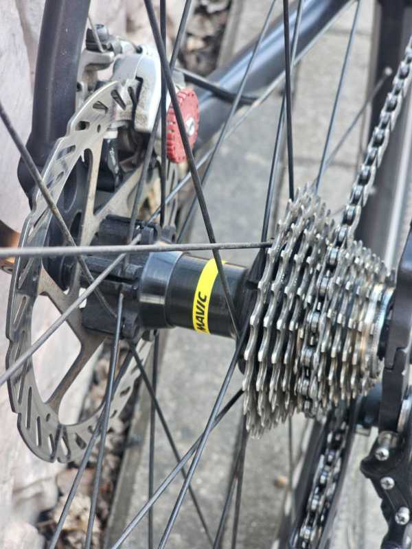 Rose PRO DX Cross