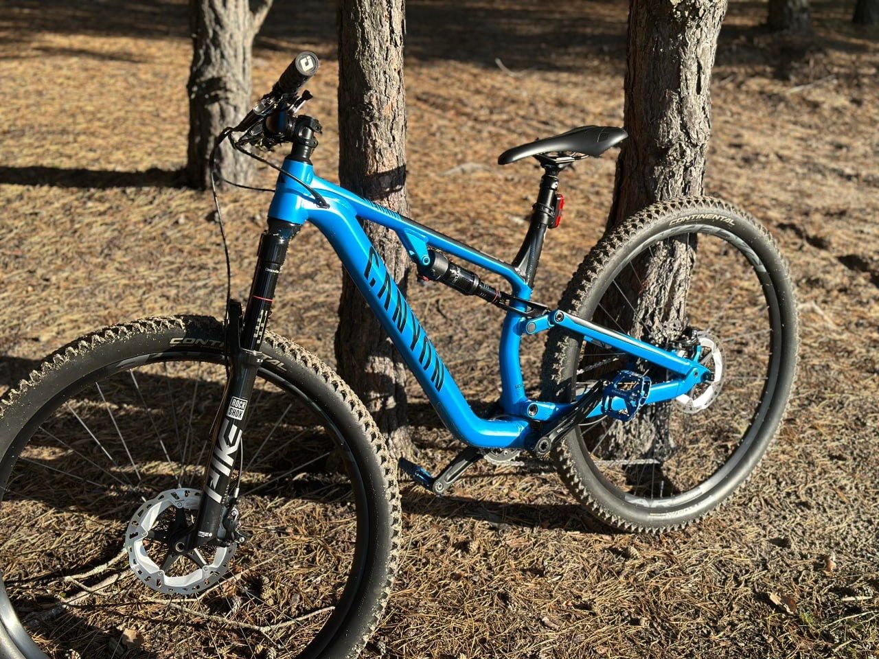 Canyon neuron al 6 2020
