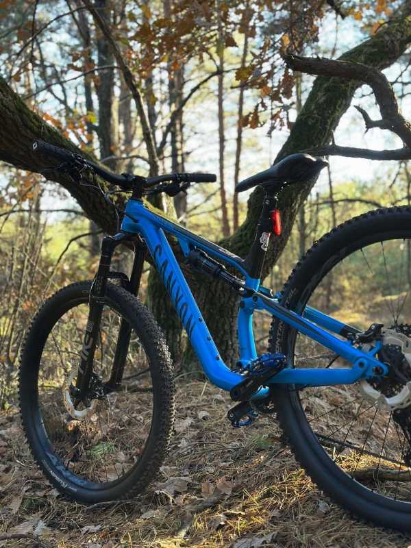 Canyon neuron al 6 2020