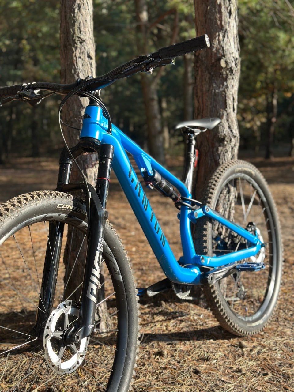 Canyon neuron al 6 2020