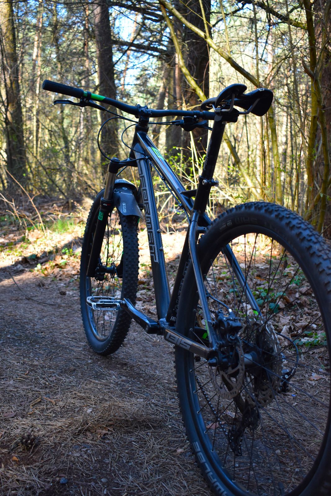 Format 1315 Shimano RockShox
