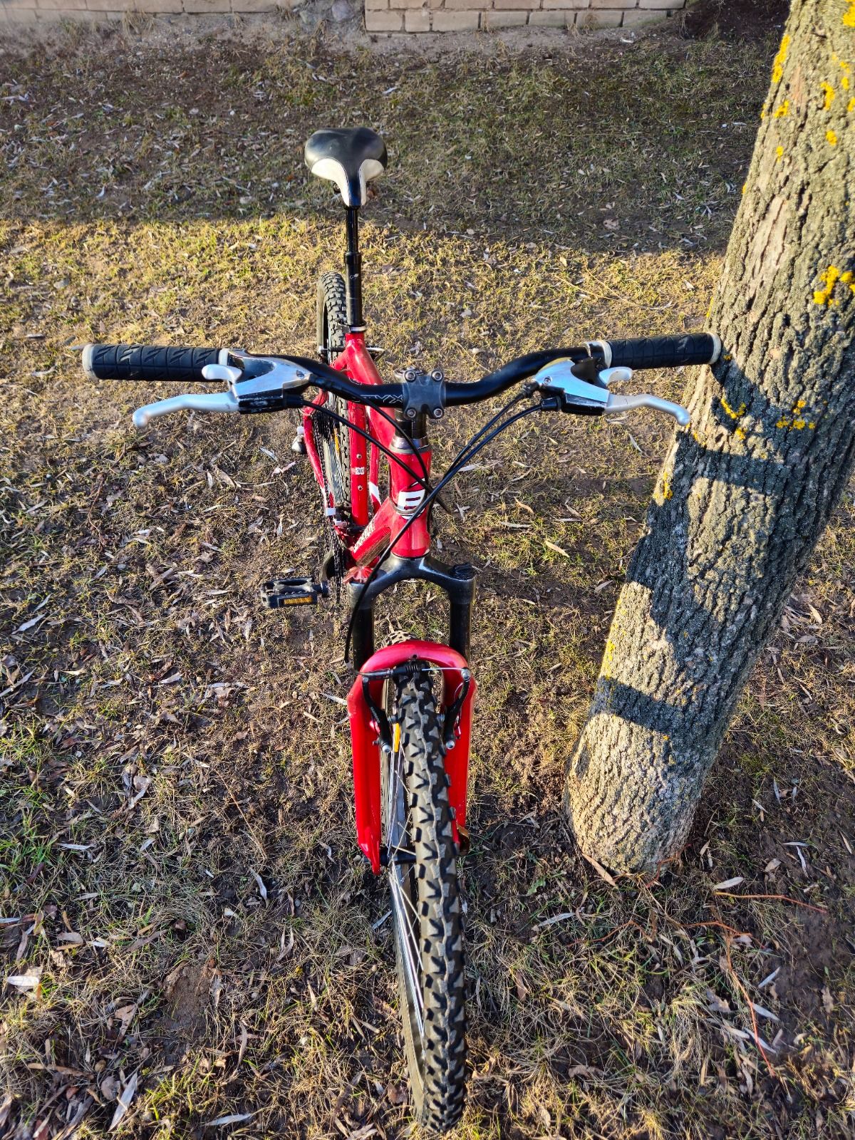 BERGANONT 26'