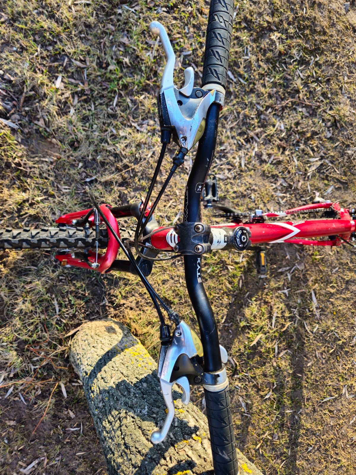 BERGANONT 26'