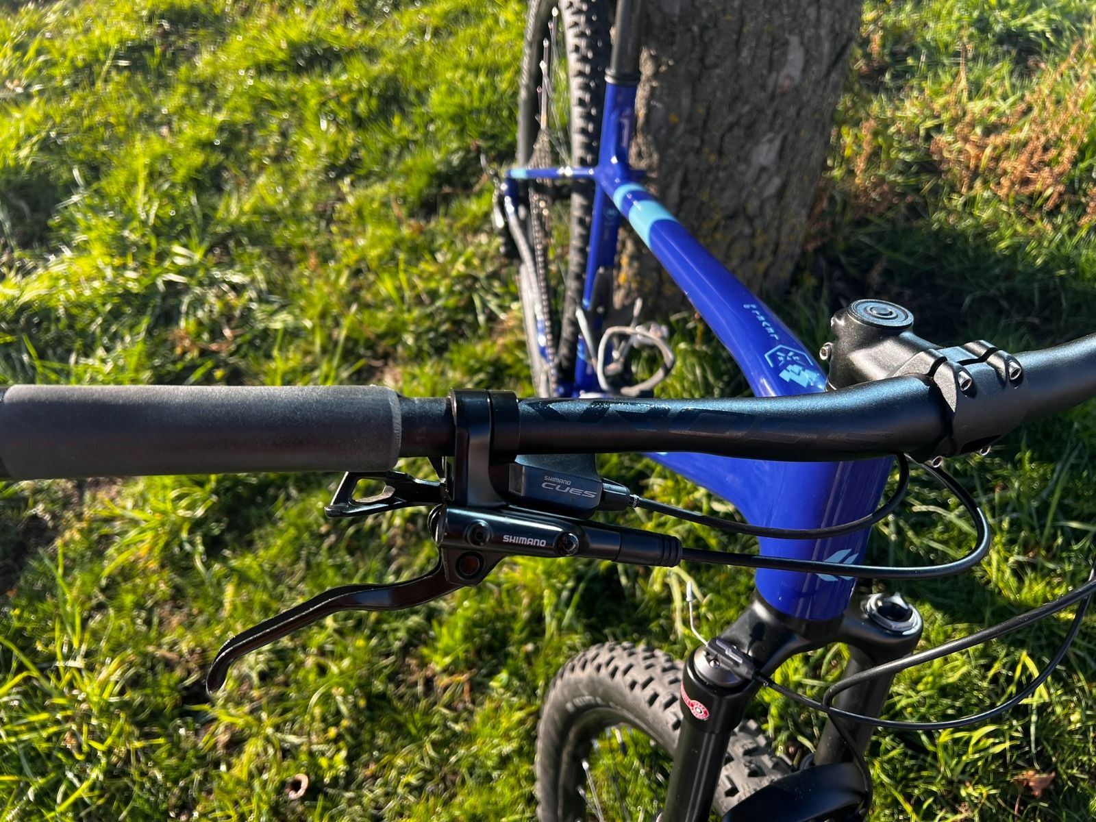 KROSS Level 5.0 new gen (2024) XL