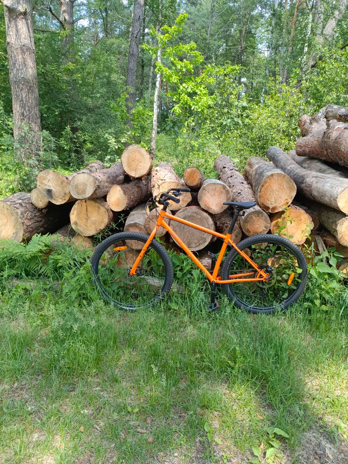 Велосипед Shulz Lone ranger