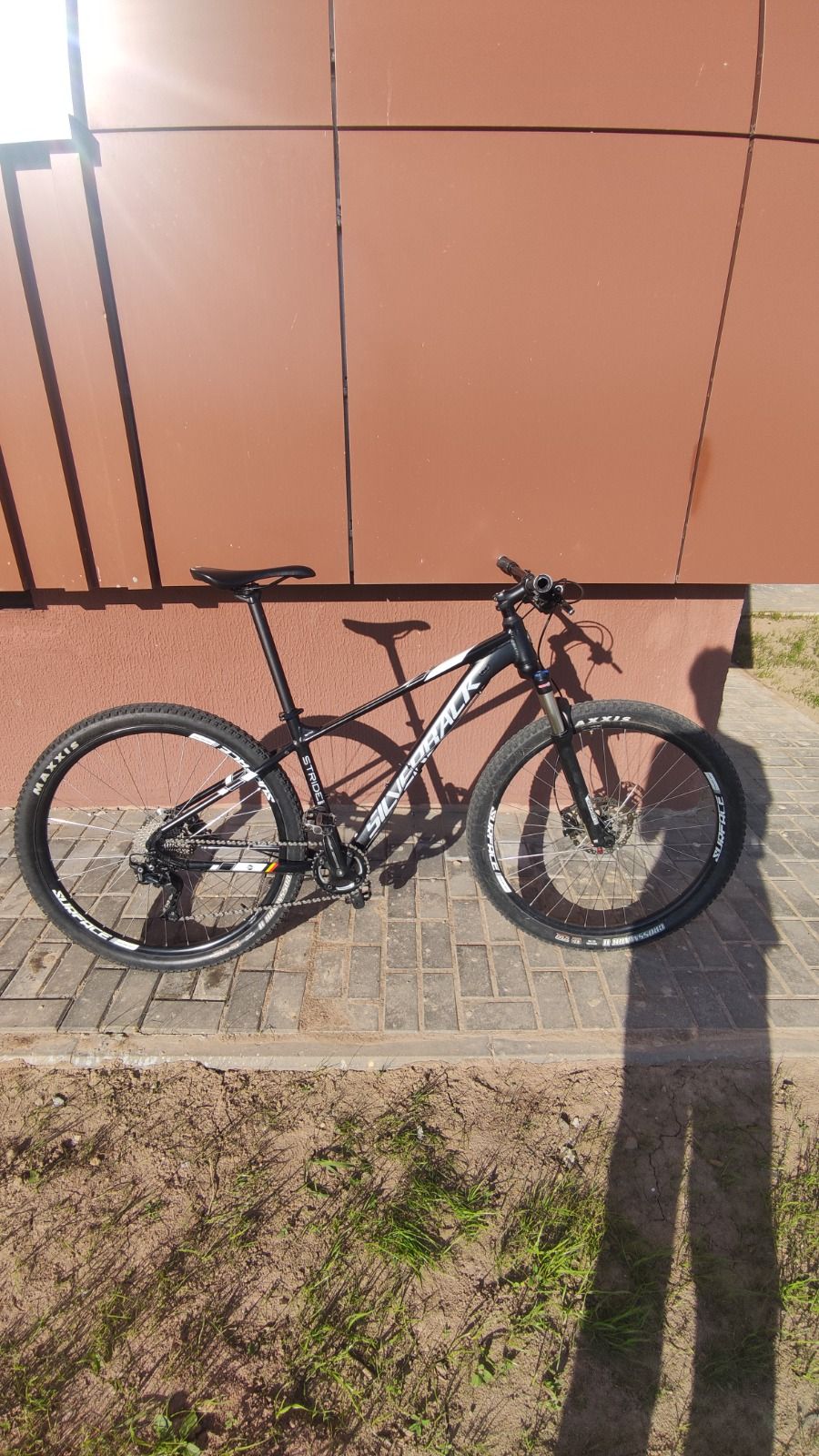 Silverback stride expert 2020