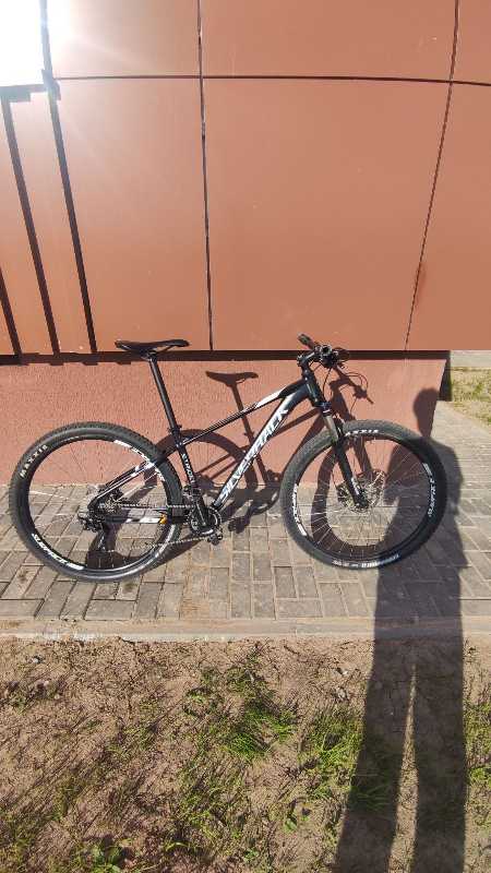 Silverback stride expert 2020