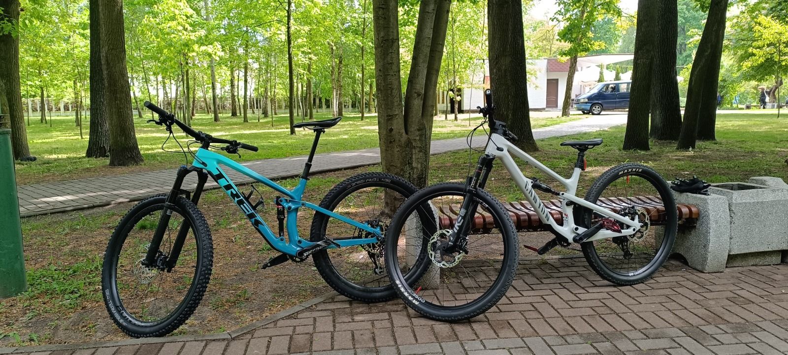 Trek Carbon