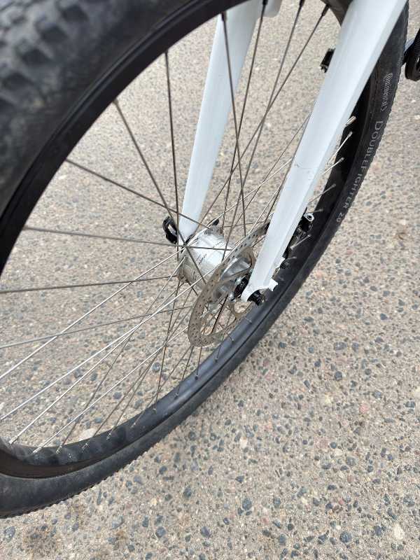 Santos bike Rohloff