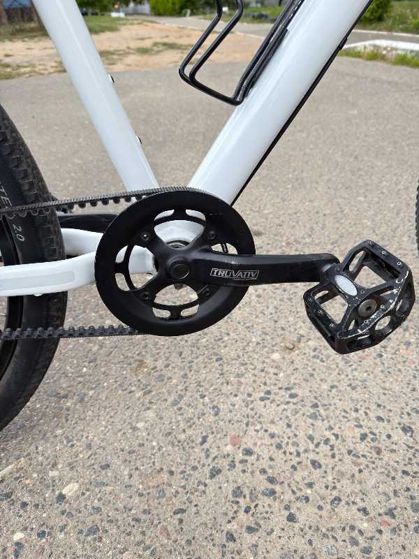 Santos bike Rohloff