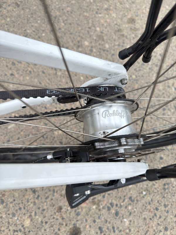 Santos bike Rohloff