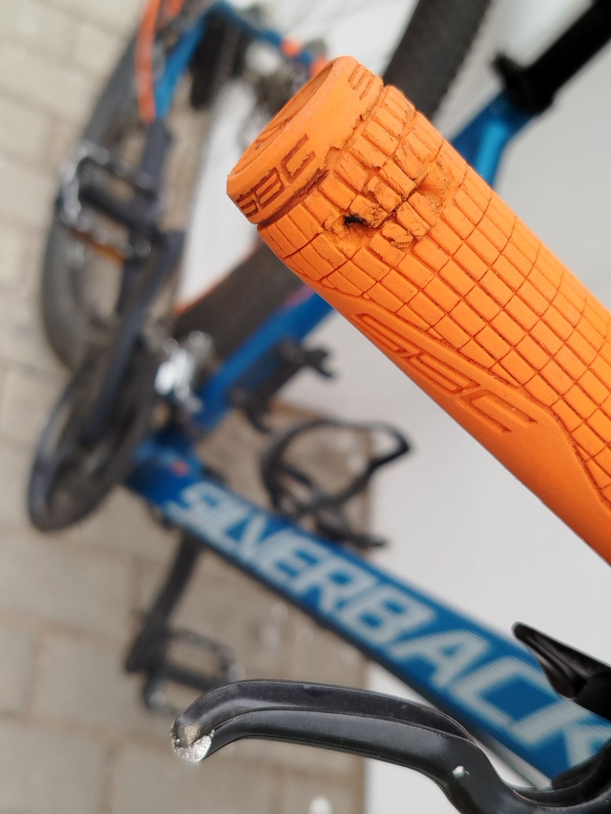 Silverback Stride Elite SL