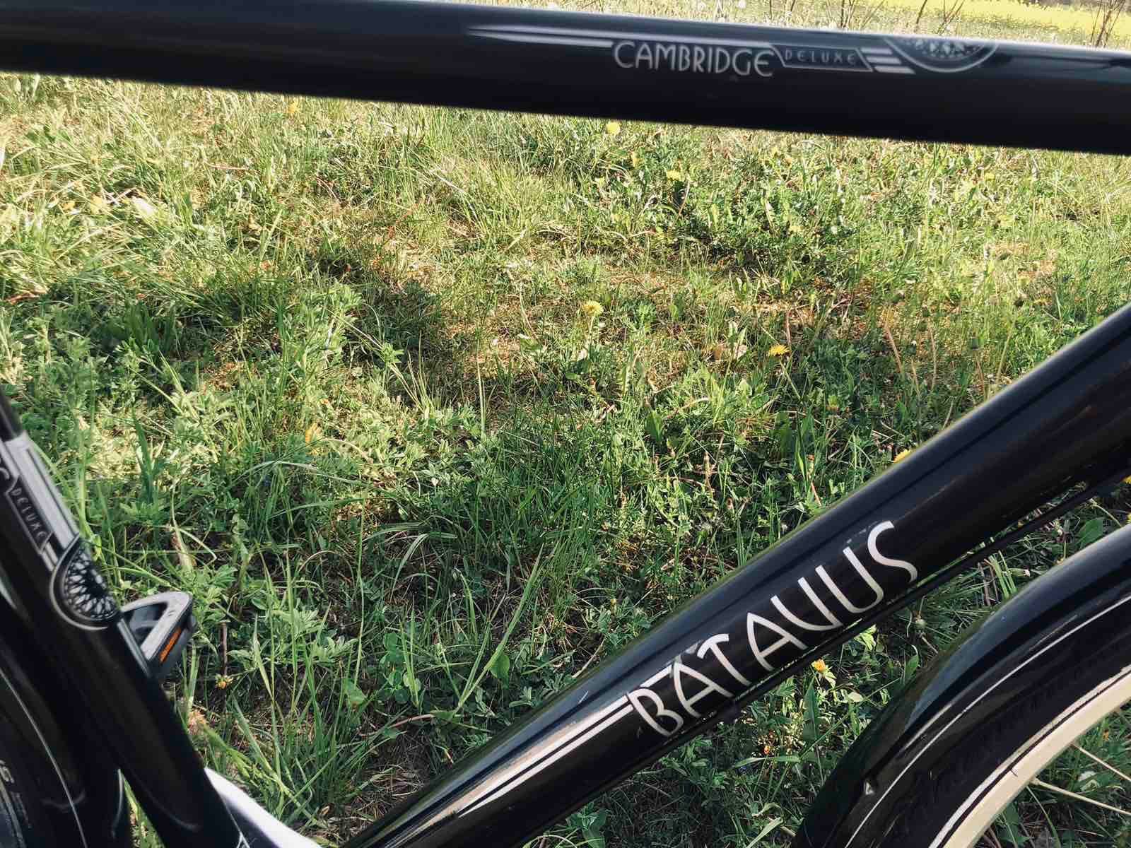 BATAVUS Nexus-7