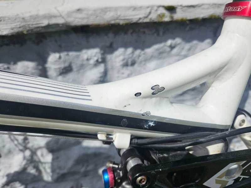 Haibike q fs