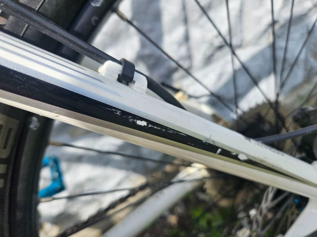 Haibike q fs